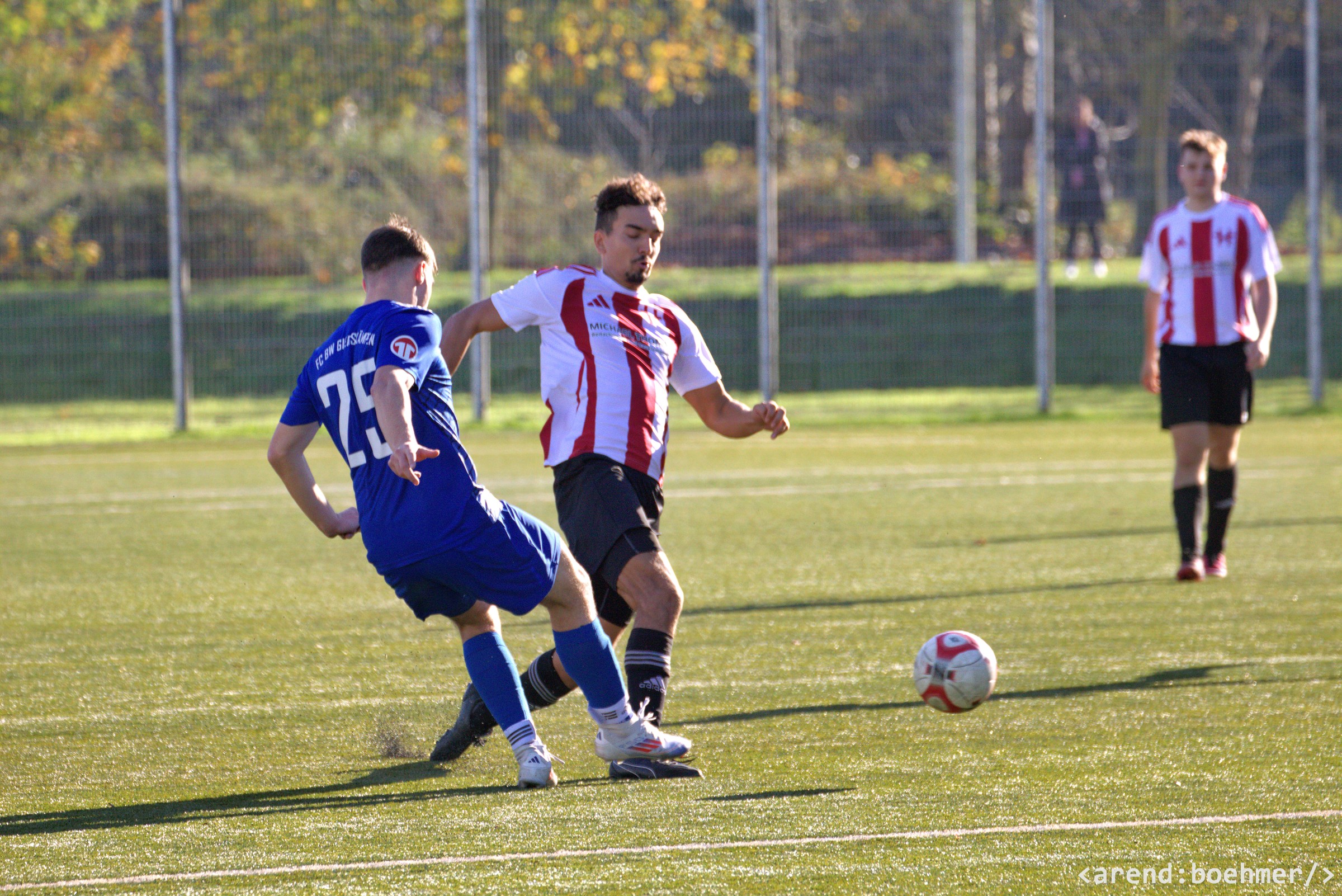 IMG 4068 web