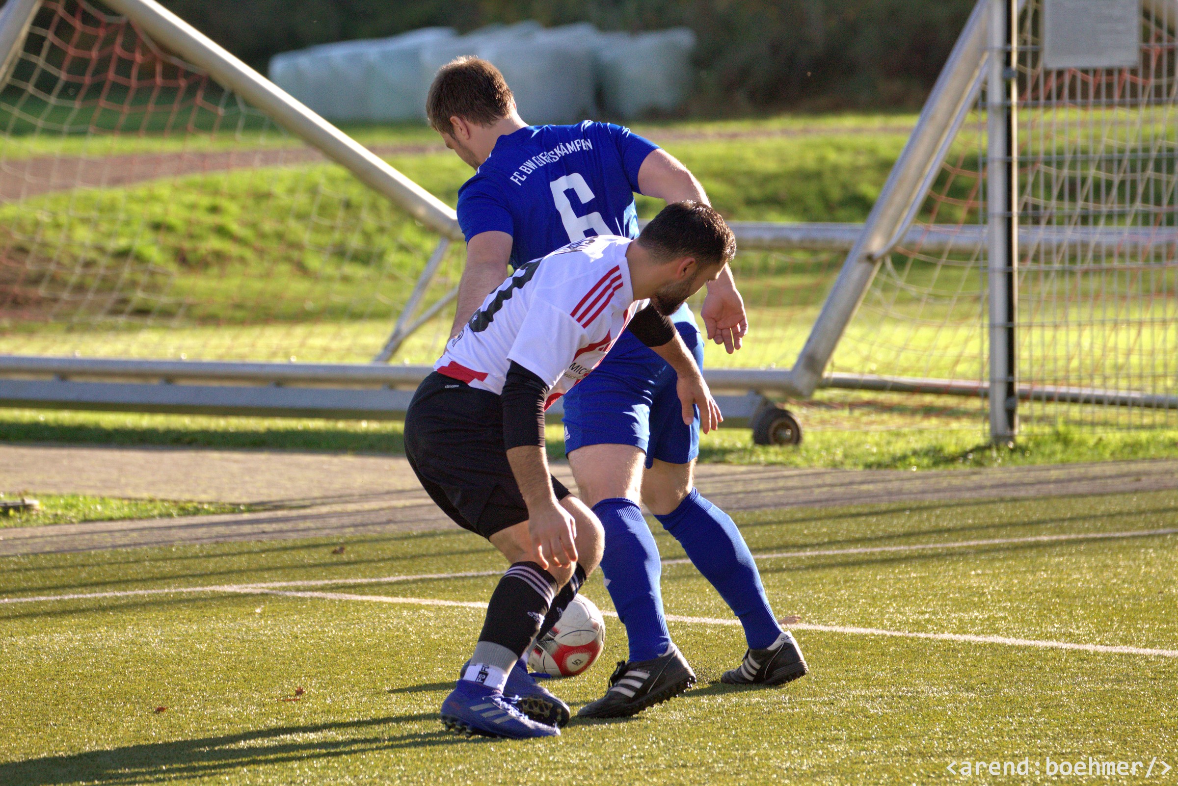 IMG 4075 web